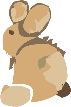 Hase